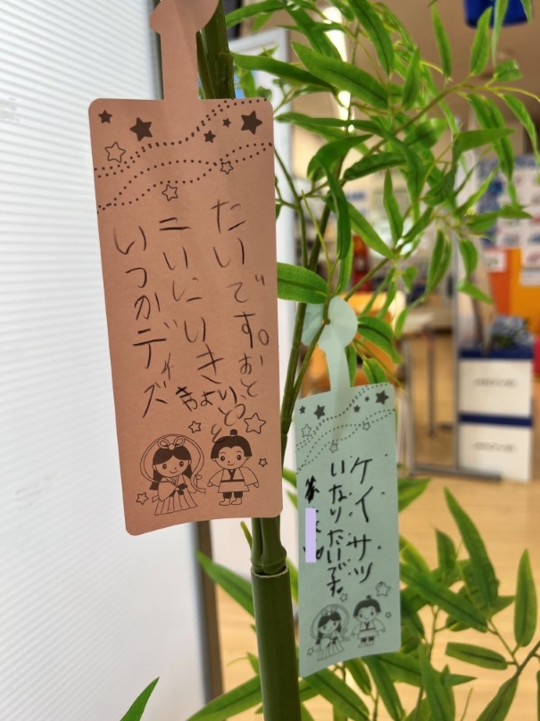 tanabata05